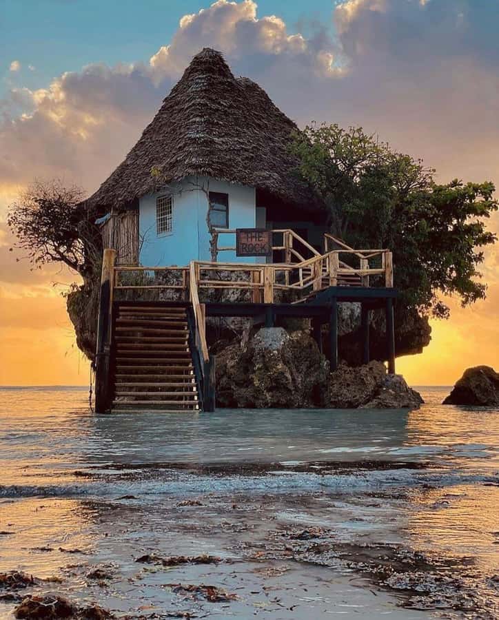 Jozani Forest Tour, Kuza Cave Tour, Paje Beach, The Rock - A full-day Zanzibar circuit that keeps moving