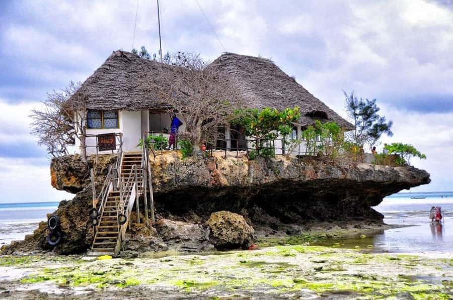 Jozani Forest Tour, Salaam Cave Tour, The Rock, Kuza Cave - A 10-hour sampler of Zanzibar that actually fits first-time travel