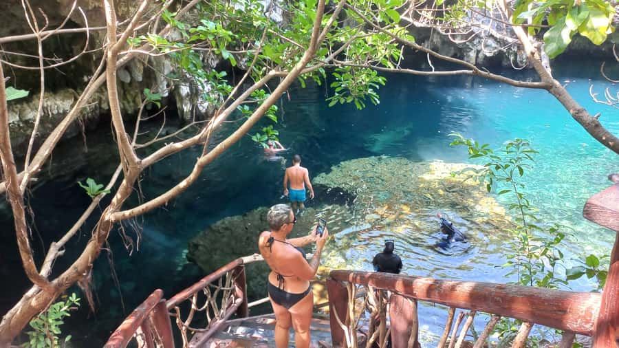 Jozani Monkey Forest & Malum Cave Swimming - Jozani Chwaka Bay National Park: the red colobus focus