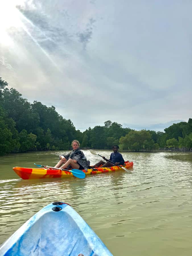 Kayak Mangrove Tour - Key things to know before you paddle