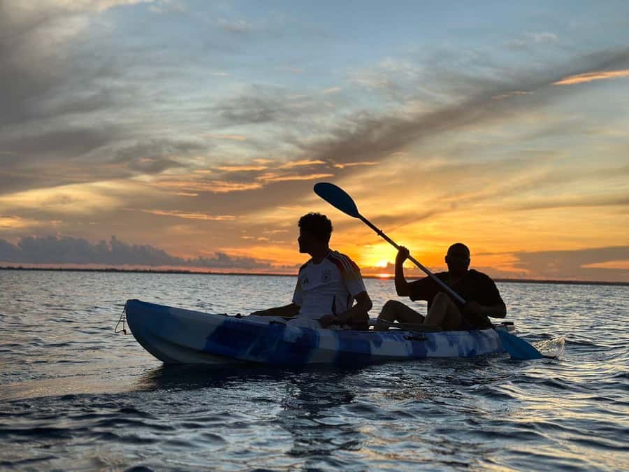 Kayak Mangrove Tour - Kayak Through Michamvi Mangroves: The Quiet Part of Unguja