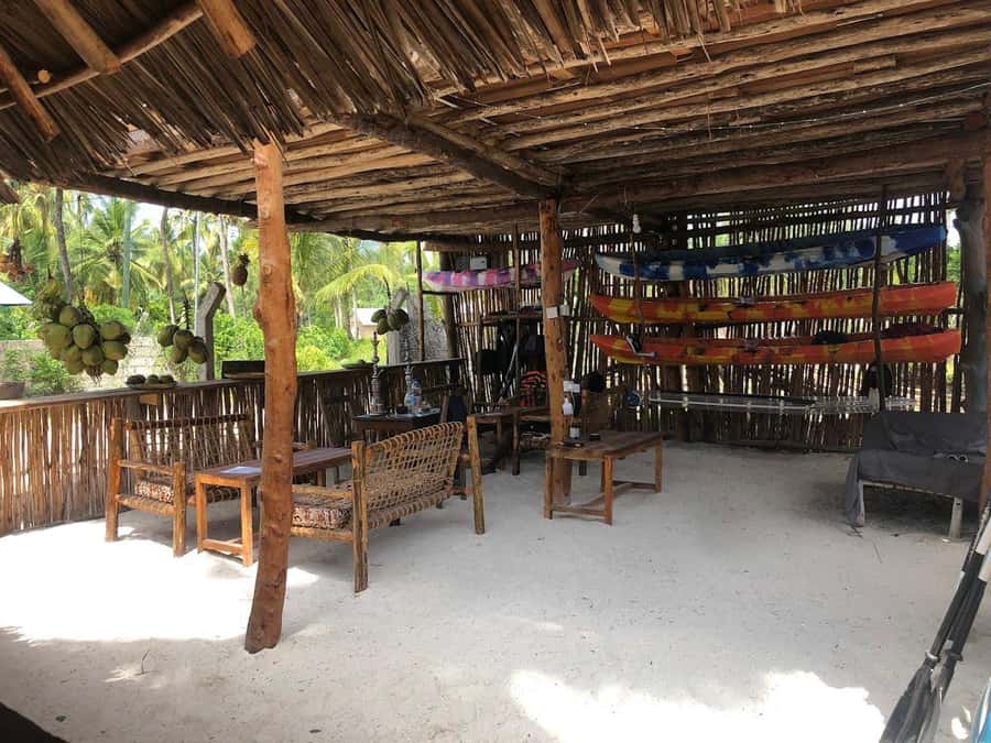 Kayak Mangrove Tour - Gear and Comfort That Make Beginners Feel Safe