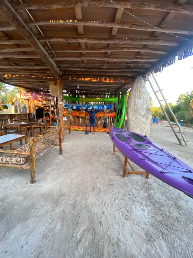 Kayak Mangrove Tour - Should You Book the Kayak Mangrove Tour?