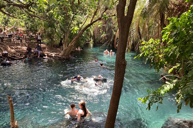 Kikuletwa Chemka Hot Springs Bicycle or Tuk Tuk Day Trip - Key Highlights You Should Care About