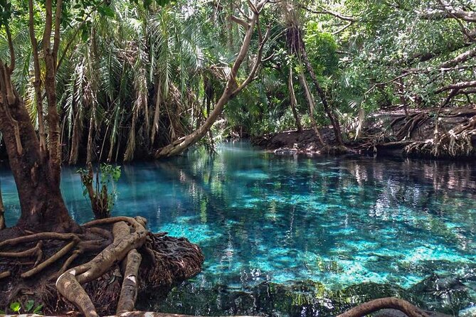 Kikuletwa Hot spring - A Hot Spring Day Trip That Feels Local, Not Staged