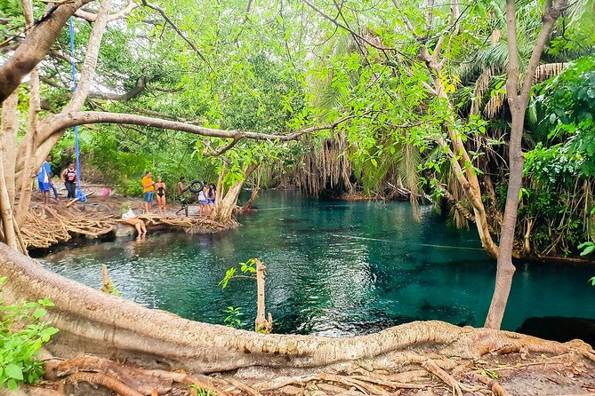 Kikuletwa Hot spring - Price and What You Really Get for $260