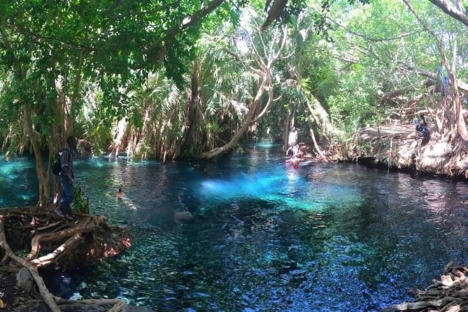 Kikuletwa Hot Spring Day Tour - Getting to Kikuletwa from Arusha and Moshi without the stress