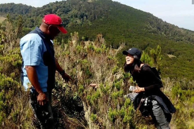 Kilimanjaro 1 Day Hike - Why a Kilimanjaro day hike on the Marangu Route works