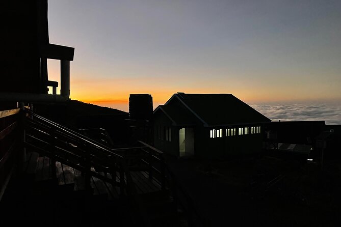 Kilimanjaro 1 Day Hike - Booking timing, meeting windows, and what to expect day-of