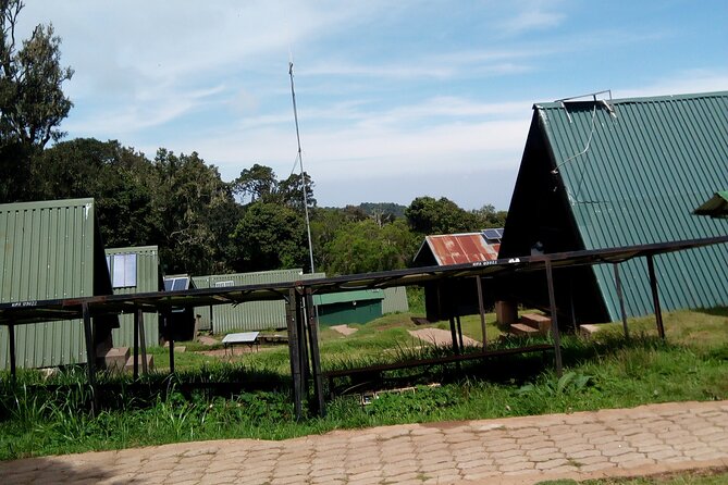 Kilimanjaro 1 Day Hike - Moshi pickup, private transport, and how the day starts