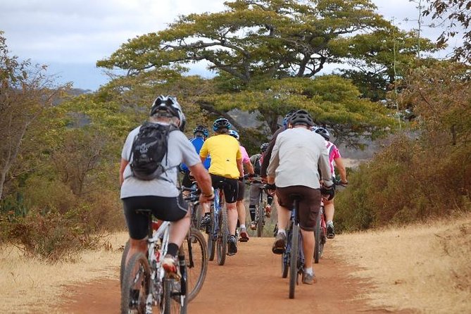 Kilimanjaro 360 - Key points before you book Kilimanjaro 360