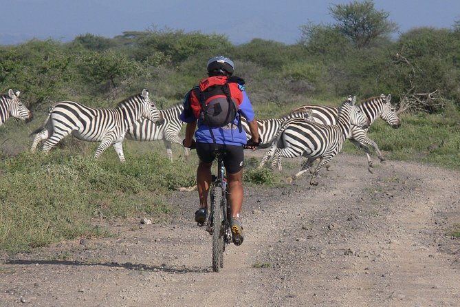 Kilimanjaro 360 - Day 5 to Lake Chala: a downhill day with a crater lake twist