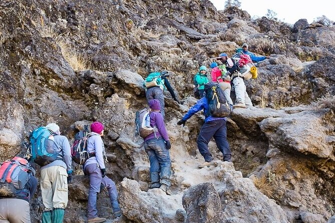 Kilimanjaro 7 Day Private Trekking Experience - Day 4, Barranco Wall Scramble Into Karanga Valley Ridges