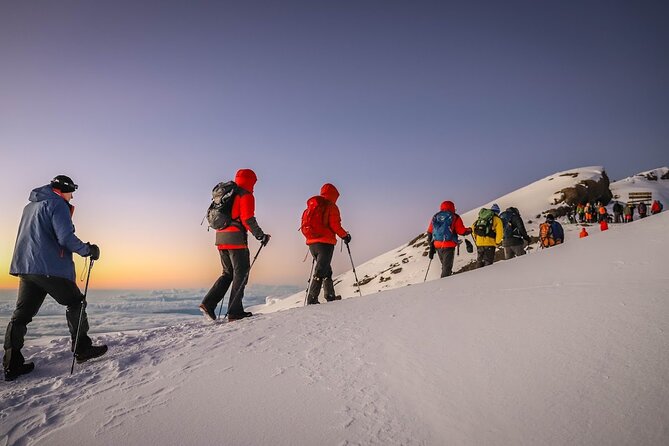 Kilimanjaro 7 Days Machame Route Private Tour - Day 3: the moorlands lift, big views, and a camp with motivation