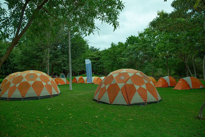 Kilimanjaro 7 Days Machame Route Private Tour - Day 2: Machame gate through rainforest to Machame Camp