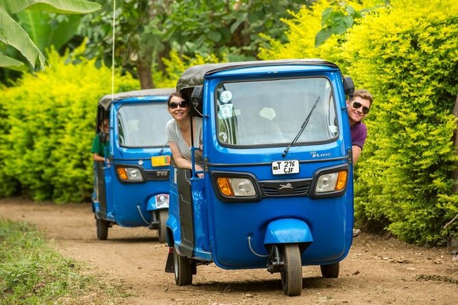 Kilimanjaro Airport Private Transfer from/to Moshi - Pickup details that actually matter: flight info, bags, and the right vehicle
