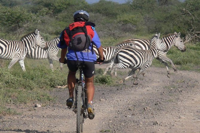 Kilimanjaro bike park safari - Key points to know before you go