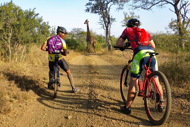 Kilimanjaro bike park safari - Moshi pickup and a 7:00 am start you can plan around