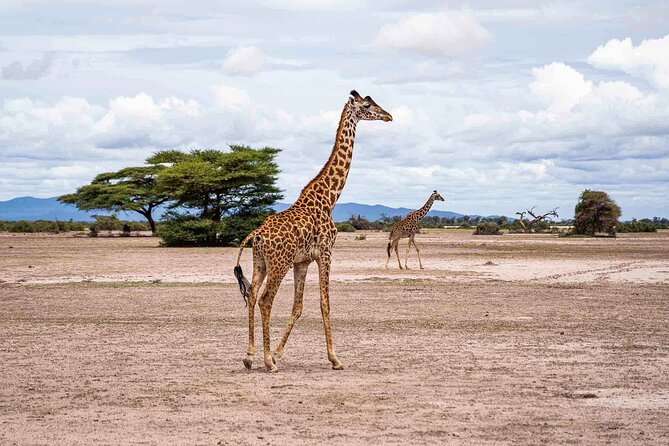Kilimanjaro bike park safari - Entering West Kilimanjaro wildlife country by bike