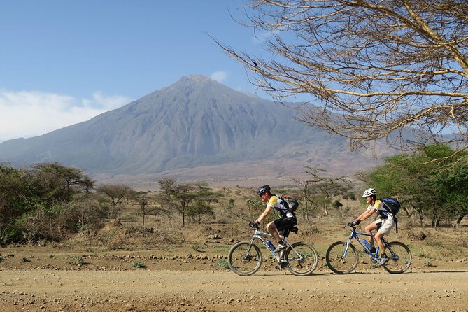 Kilimanjaro bike park safari - The ride feel: pace, terrain, and the kind of fitness needed
