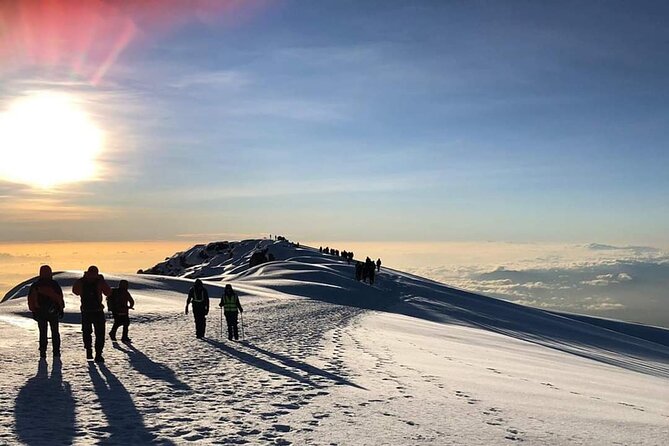 Kilimanjaro Climb - 7 Days Machame Route - Packing and pacing advice for altitude, cold nights, and long days