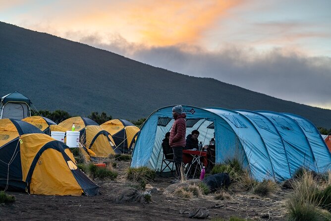 Kilimanjaro climb by Lemosho Route (7-day) - Price and value: what $3,476 covers (and what it does not)