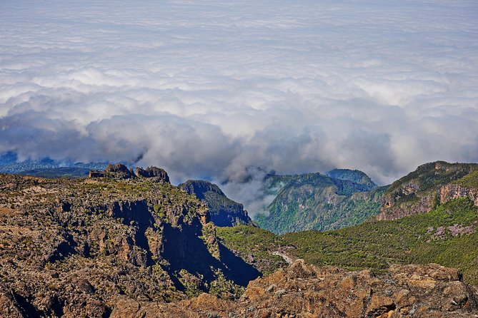 Kilimanjaro climb, Kilimanjaro Crater route (10-day) - Day 1 in Moshi: Airport Arrival and Aishi Machame Hotel Reset