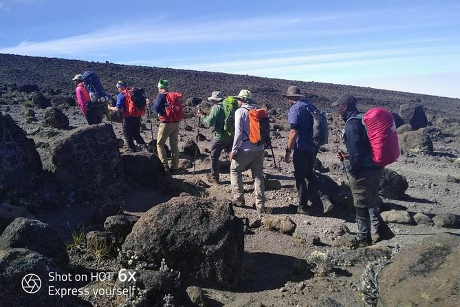 Kilimanjaro Climb- Lemosho Route - The Lemosho route: why it feels more scenic than standard options