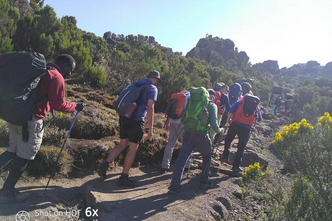 Kilimanjaro Climb- Lemosho Route - Meeting point and timing: start in Arusha at 8:00 am