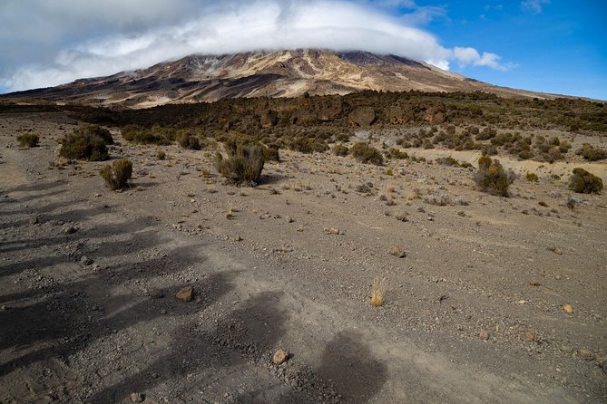 Kilimanjaro climb, Lemosho Route (6-day) - Day 7: Mweka Gate exit through rainforest relief