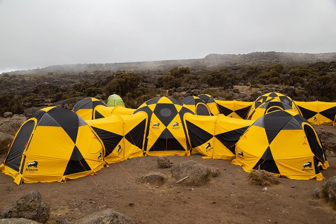 Kilimanjaro climb, Lemosho Route (6-day) - Day 2: Londorossi Gate to Shira 2, first acclimatization step