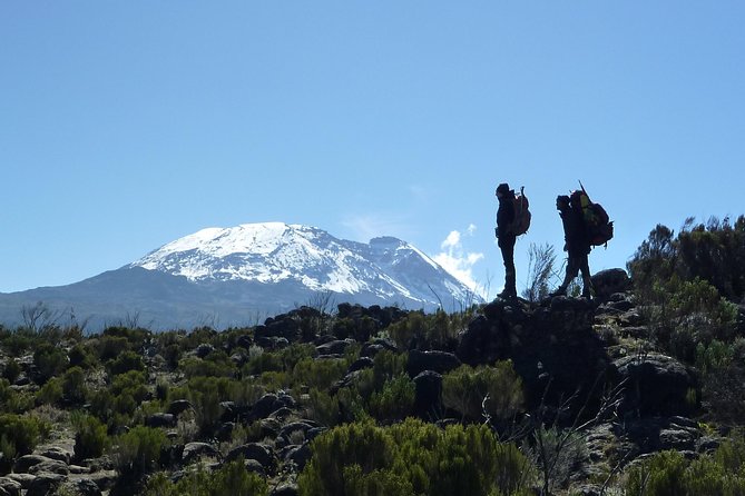 Kilimanjaro Climb • Machame Route ~ 10 Day - Lava Tower to Barranco: glacier views near Kibo