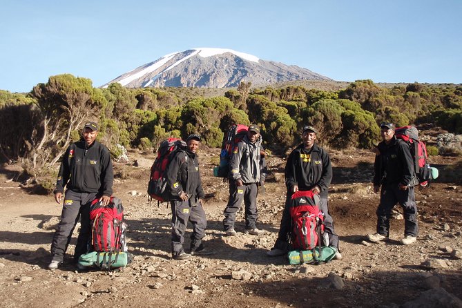 Kilimanjaro Climb • Machame Route ~ 10 Day - Descent to Mweka gate: rainforest walking, final lunch, and that shower moment