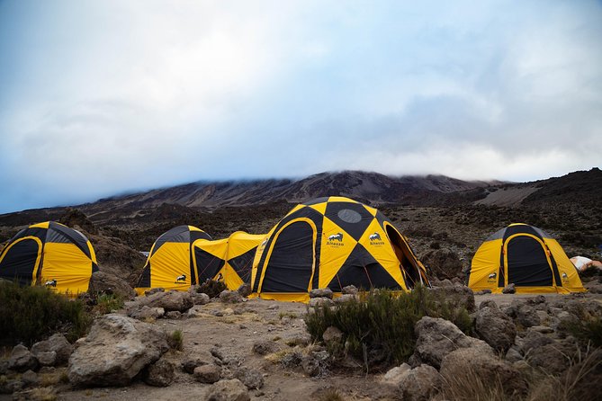 Kilimanjaro climb, Machame Route (7-day) - Machame Route 7-day, step by step: what each day feels like
