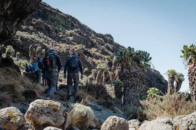 Kilimanjaro climb, Machame Route (7-day) - How the guide team shows up in real life
