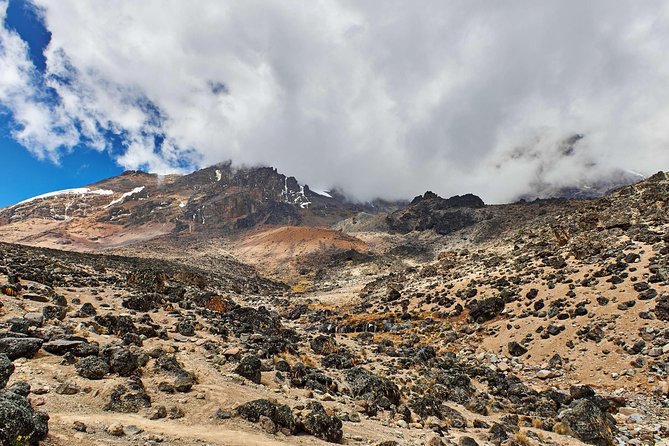 Kilimanjaro climb, Marangu route (6-day) - Day 2: Marangu Gate (1,860 m) to Mandara Hut (2,700 m) Through rainforest up to your first altitude hit