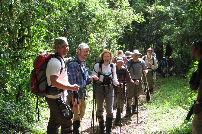 Kilimanjaro Climb • Marangu Route ~ 9 Day - Descent day back to Moshi: where you cash in the trail fatigue