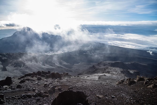 Kilimanjaro climb, Northern Circuit route (8-day) - Moshi arrival and first-day logistics that set your tone