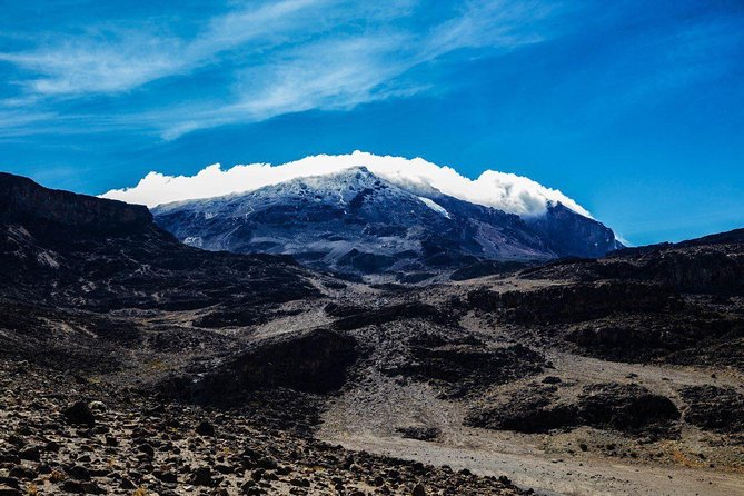 Kilimanjaro climb, Northern Circuit route (8-day) - Day 2 start at Londorossi Gate, then Shira 1: easy climbing that actually helps