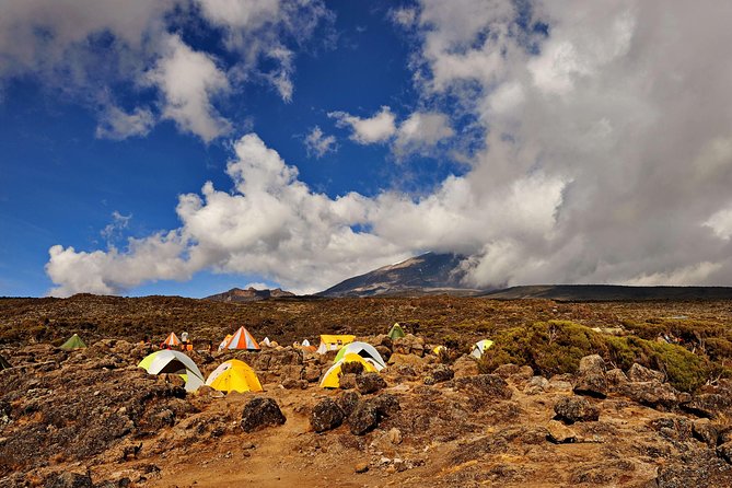 Kilimanjaro climb, Rongai Route (6-day) - Moshi hotel nights in Aishi Machame, where you reset before the climb