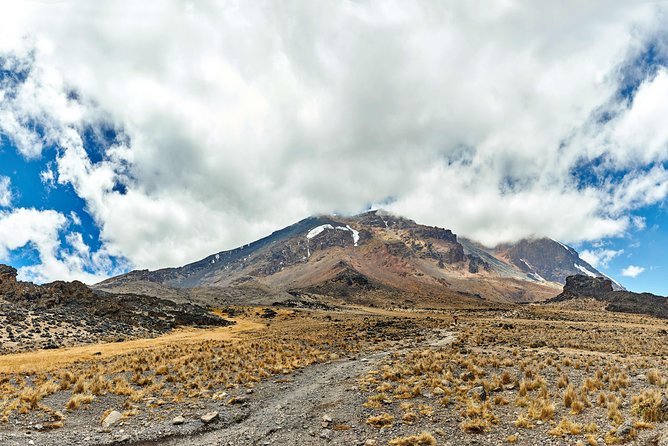 Kilimanjaro climb, Rongai Route (6-day) - Day 5 to School Hut Camp: the semi-desert shift and summit-night prep