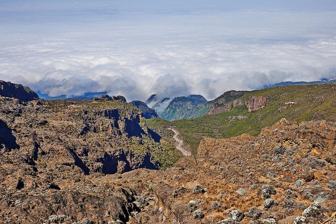 Kilimanjaro climb, Rongai Route (6-day) - Day 2 from Nalemuru Gate to Simba Camp: forest hiking and permit reality