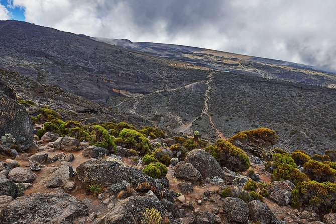 Kilimanjaro climb, Rongai Route (7-day) - Rongai on the northern side: why this route feels different