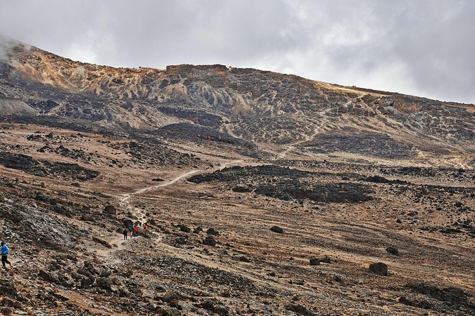 Kilimanjaro climb, Rongai Route (7-day) - Aishi Machame Hotel in Moshi: your comfort buffer before altitude
