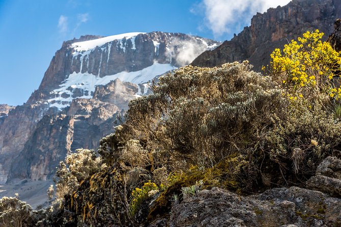 Kilimanjaro climb, Rongai Route (7-day) - Day 3 to Second Cave Camp and the Kikilewa acclimatization hike: short work, big payoff