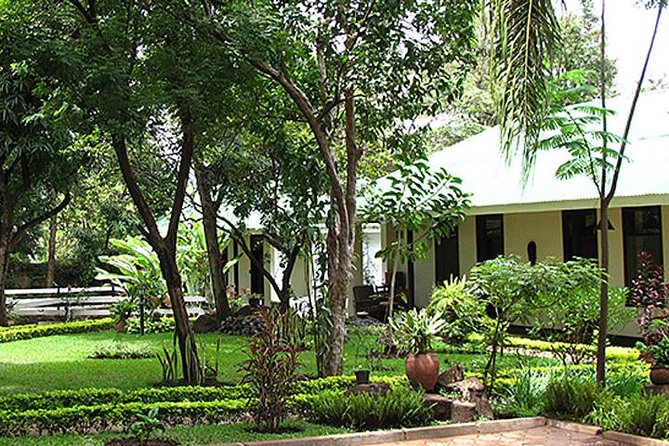 Kilimanjaro Climb & Safari - Lemosho Route - 13 Day - Tusker Trail and the Lemosho route, where support matters