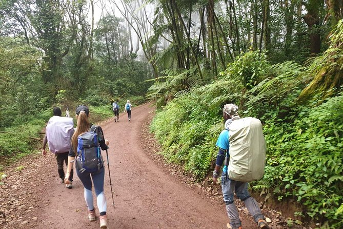 Kilimanjaro Climbing 5 days Marangu route - Guides, chefs, and porters: the team energy you can feel