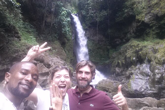 Kilimanjaro Climbing Rongai Route - Day 7 descent: Mandara Hut, rain forest return, certificates, and a warm shower