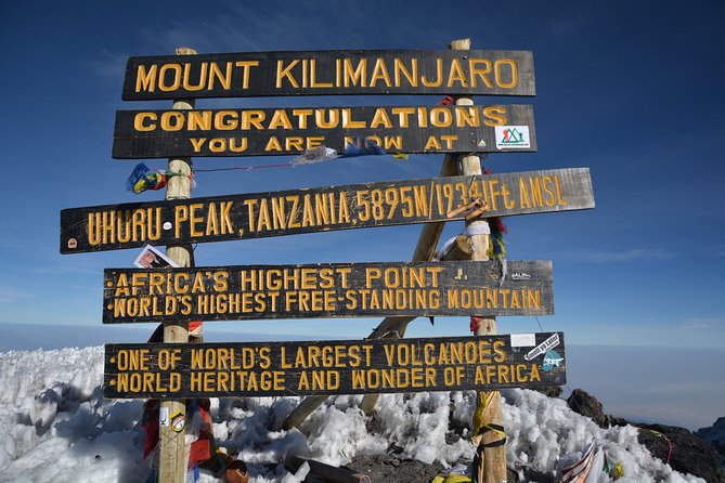 Kilimanjaro Climbing Umbwe Route - Day 6 down through Mweka forest: Gates, certificates, and a warm shower in Moshi