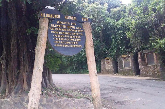 Kilimanjaro Day Hike - Wildlife and bird-spotting on a day schedule